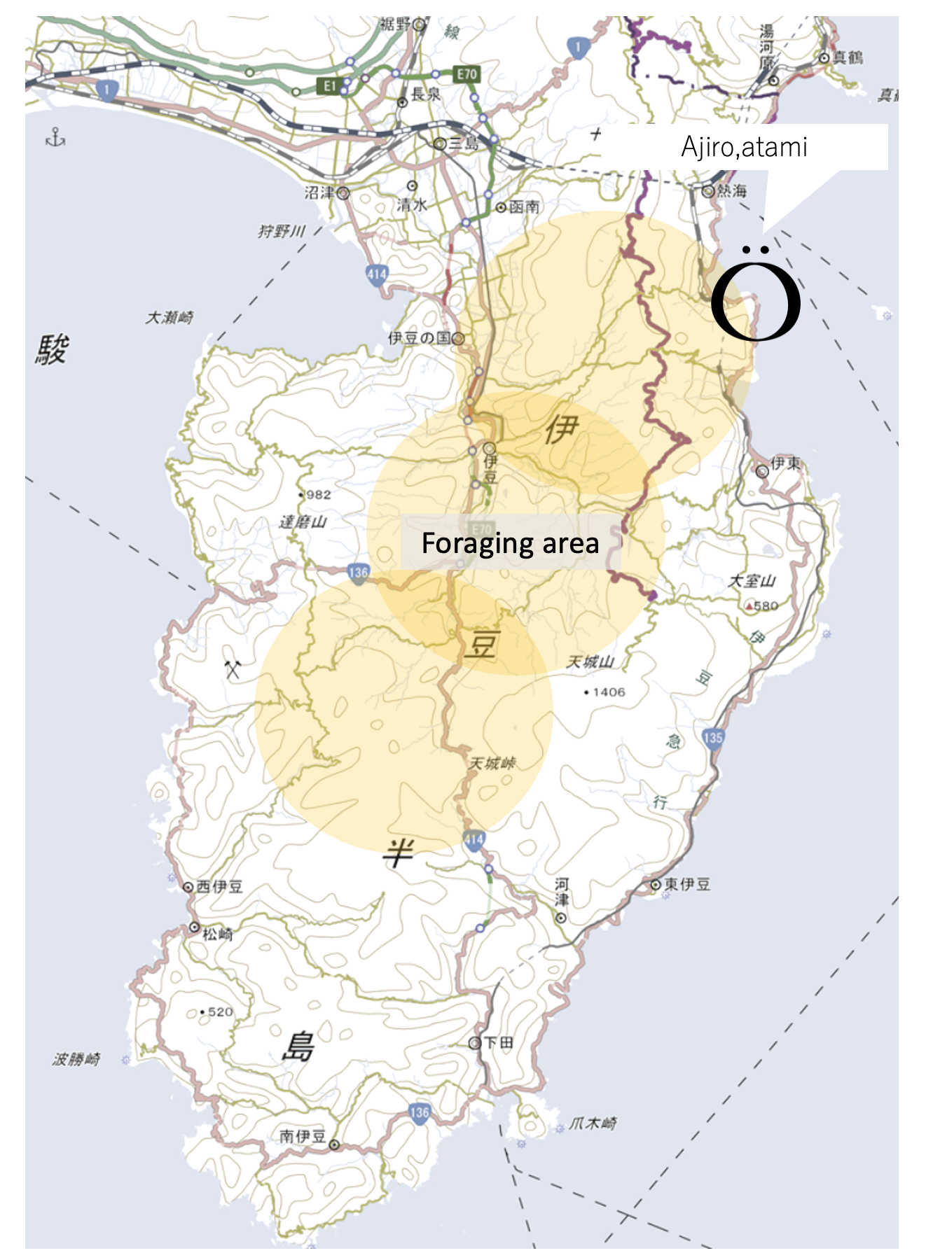 スクリーンショット 2025-08-05 19.38.58